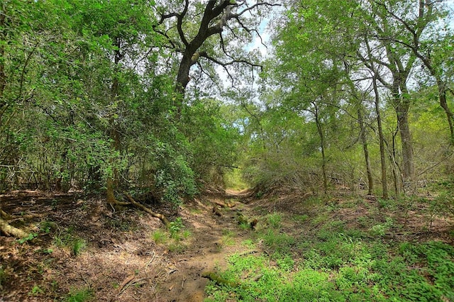 TBD E Whitworth Ln E, Bastrop, TX 78602 - photo 16