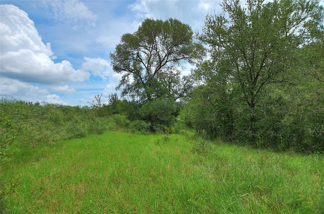 TBD E Whitworth Ln E, Bastrop, TX 78602 - photo 18
