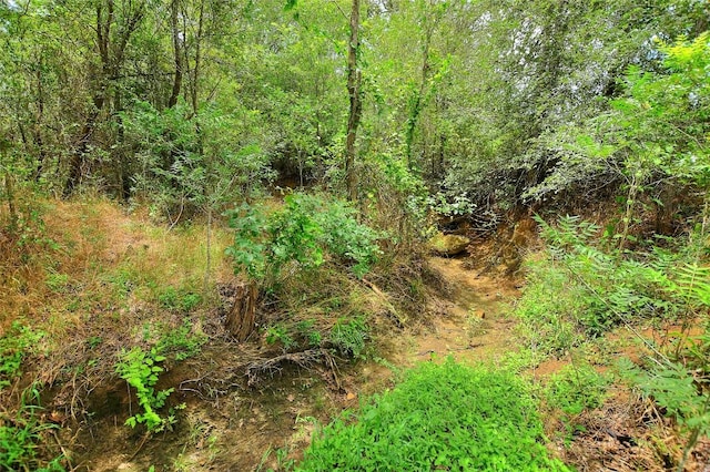TBD E Whitworth Ln E, Bastrop, TX 78602 - photo 19