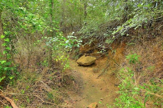 TBD E Whitworth Ln E, Bastrop, TX 78602 - photo 20