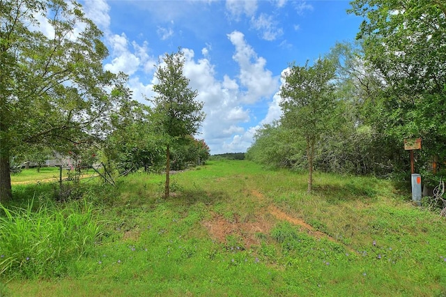 TBD E Whitworth Ln E, Bastrop, TX 78602 - photo 21