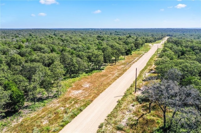 1136 Oak View Ln Lot 22, Thrall, TX 76578 - photo 9