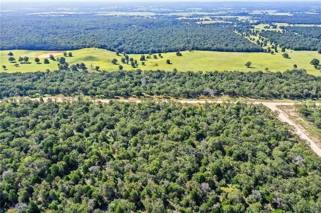 1136 Oak View Ln Lot 22, Thrall, TX 76578 - photo 11