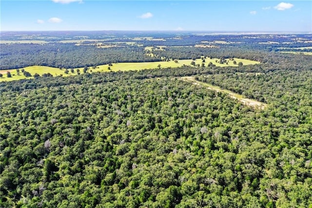 1136 Oak View Ln Lot 22, Thrall, TX 76578 - photo 12
