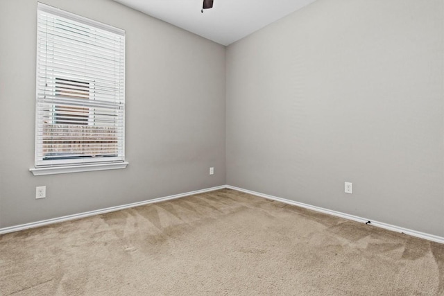 161 Rustic Glen Dr, San Marcos, TX 78666 - photo 15