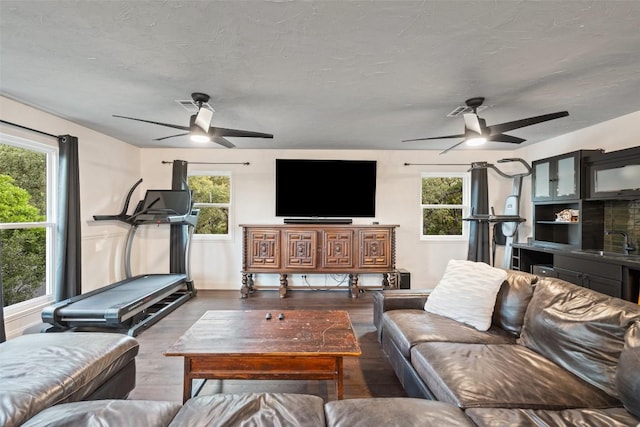 388 Survista Ln, New Braunfels, TX 78132 - photo 22