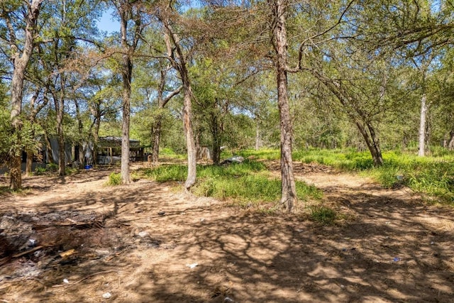 1300 S Webberwood Way, Elgin, TX 78621 - photo 6