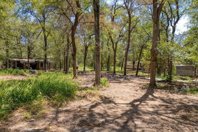 1300 S Webberwood Way, Elgin, TX 78621 - photo 9