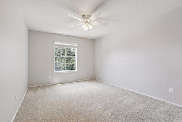 8402 Delavan Ave, Austin, TX 78717 - photo 19