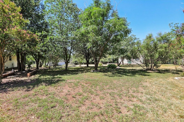 301 Cardinal Ln, Cedar Park, TX 78613 - photo 28