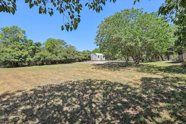 301 Cardinal Ln, Cedar Park, TX 78613 - photo 34