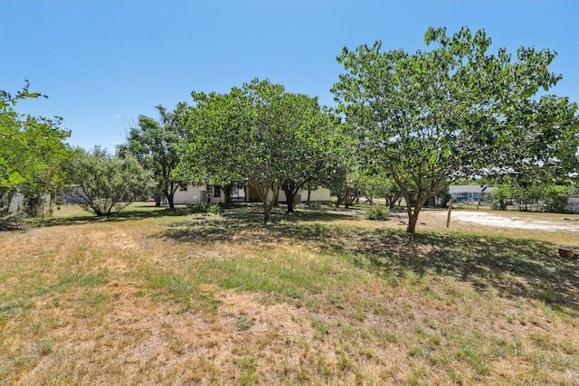 301 Cardinal Ln, Cedar Park, TX 78613 - photo 38