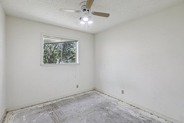 301 Cardinal Ln, Cedar Park, TX 78613 - photo 20