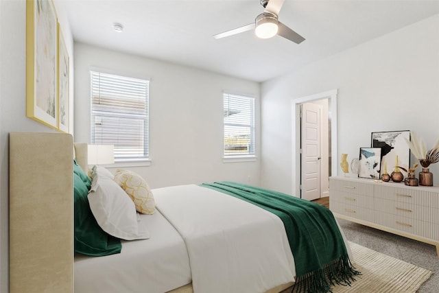 14002 Neskar Dr, Pflugerville, TX 78660 - photo 3