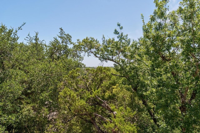 9602 Petite Cove Ii Cv, Austin, TX 78750 - photo 22