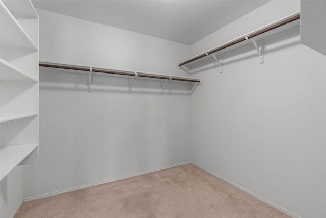6025 Nelson Oaks Dr, Austin, TX 78724 - photo 13
