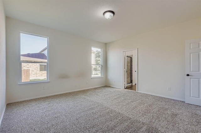 18808 Star Gazer Way, Pflugerville, TX 78660 - photo 13