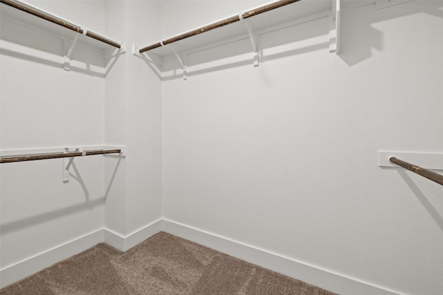 1811 Webberville Rd Unit 4104, Webberville, TX 78721 - photo 24