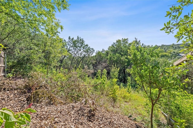2407 Trail Of The Madrones, Austin, TX 78746 - photo 38