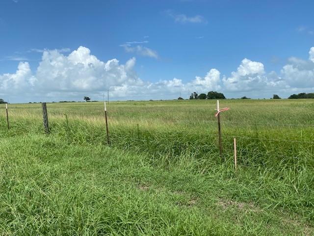 Listing photo 3 for TBD State Highway 95 S, Shiner TX 77984