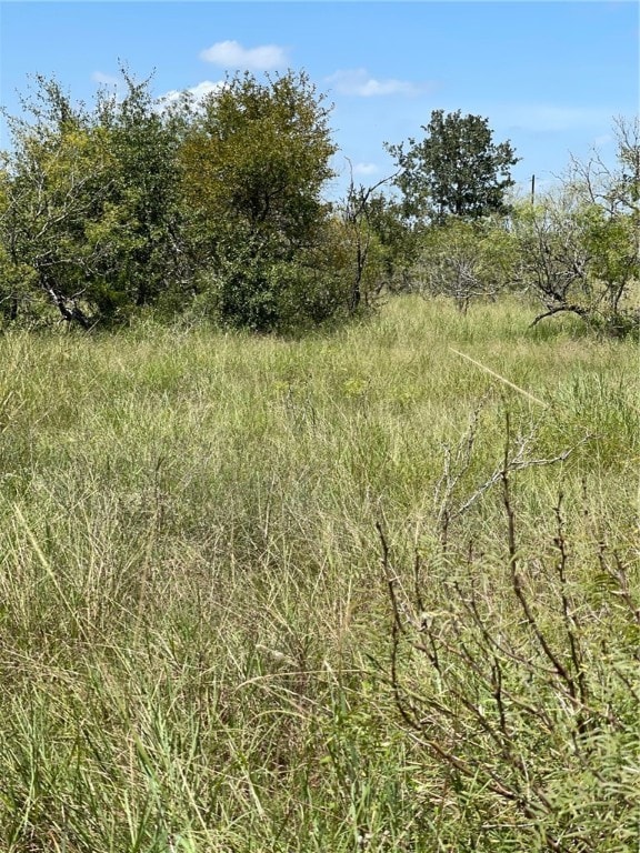 LOTT11 Lake Rd, Lockhart TX, 77836 land for sale