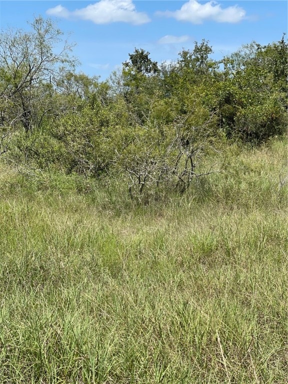 Listing photo 2 for LOTT11 Lake Rd, Lockhart TX 77836