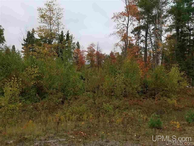 UNIT29 N Greenwood Lake Dr, Ishpeming MI, 49849 land for sale