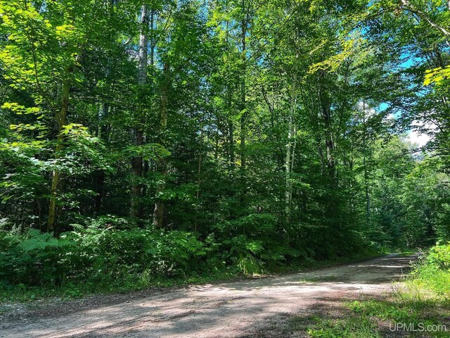 TBD Hiawatha Trail, Manistique MI, 49854 land for sale