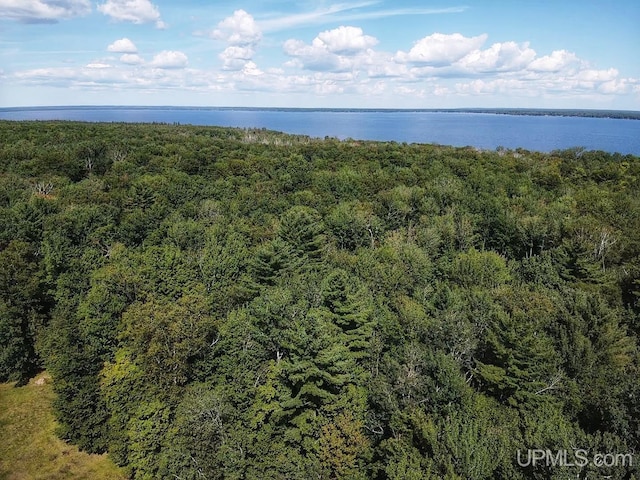 Listing photo 2 for TBD Hiawatha Trail, Manistique MI 49854