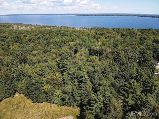 Listing photo 3 for TBD Hiawatha Trail, Manistique MI 49854