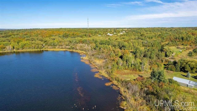 Listing photo 2 for TBD3B Bootjack Rd, Lake Linden MI 49945