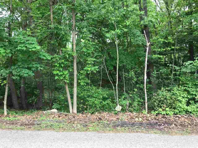 Listing photo 2 for LOT36 Lakeview St, Harrison MI 48625