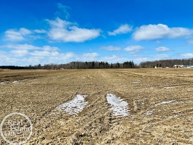 VL N Road, Clyde MI, 48049 land for sale