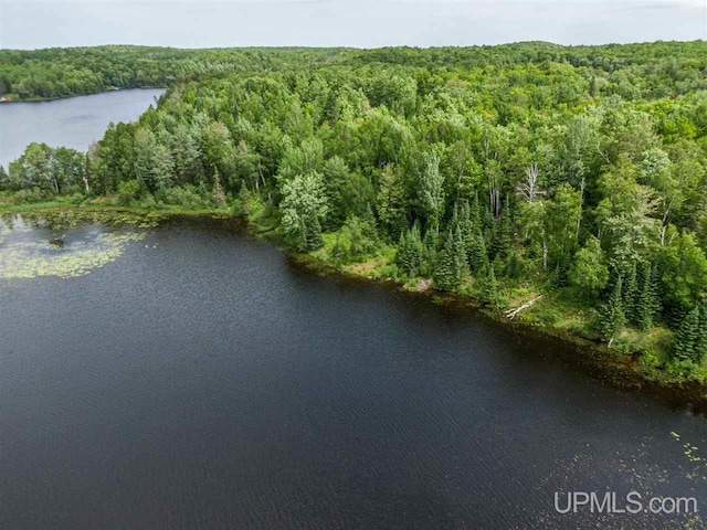 Listing photo 3 for LOT27 Red Maple Lndg, Marenisco MI 49947