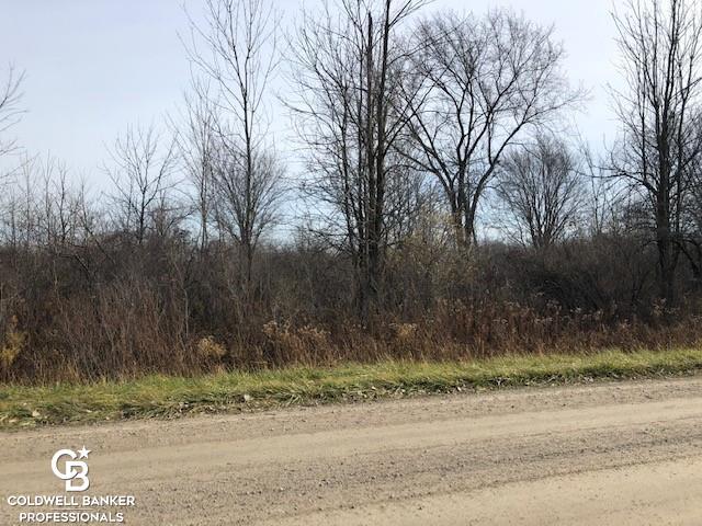 00 Cowhy Rd, Parcel B, Memphis MI, 48041 land for sale