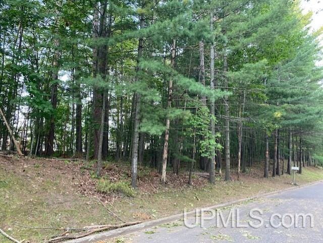 Elder Dr, Marquette MI, 49855 land for sale