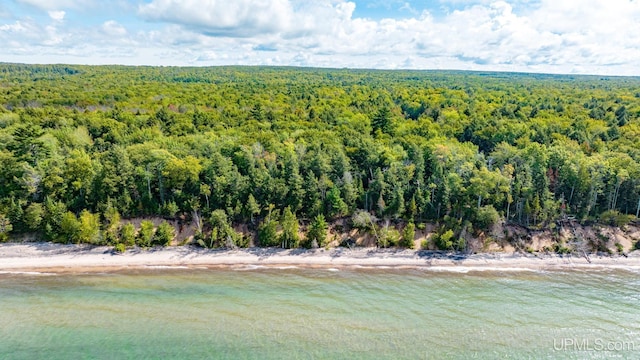 Listing photo 3 for 47739 Lots Rd, Toivola MI 49965