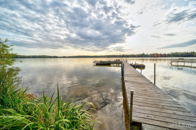 dock area with a water view