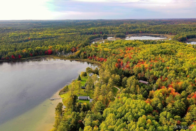 bird's eye view featuring a water view and a wooded view