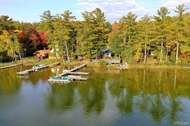 dock area featuring a water view and a view of trees