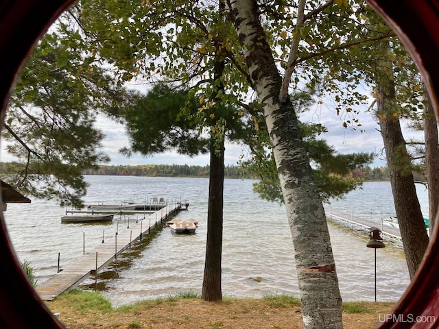 dock area featuring a water view