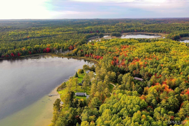 bird's eye view featuring a water view and a view of trees