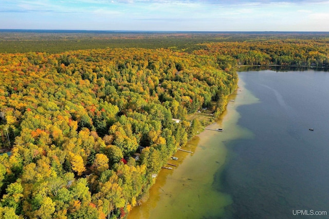 aerial view featuring a water view and a view of trees