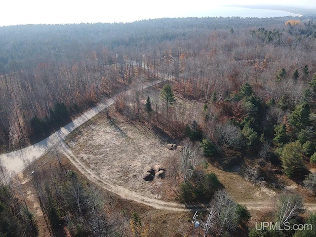 TBD Dillexie Ln, Manistique MI, 49854 land for sale