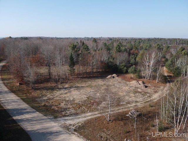 Listing photo 2 for TBD Dillexie Ln, Manistique MI 49854