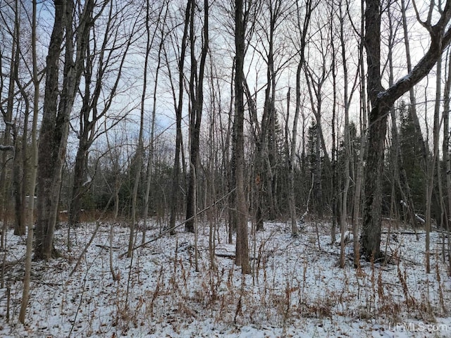 TBD Vanatta Rd, Gulliver MI, 49840 land for sale