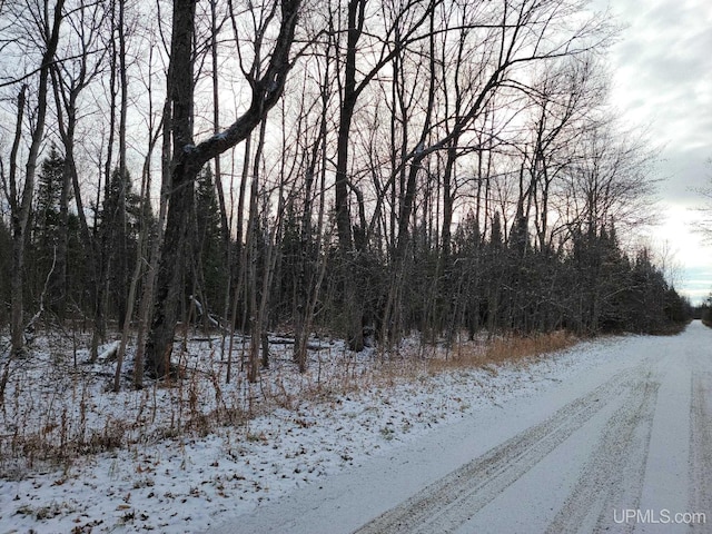 Listing photo 2 for TBD Vanatta Rd, Gulliver MI 49840