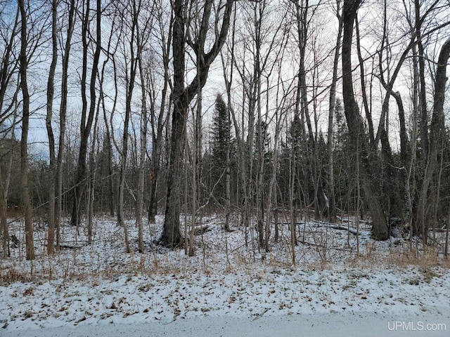 Listing photo 3 for TBD Vanatta Rd, Gulliver MI 49840