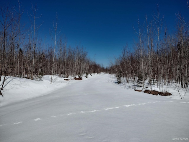 Listing photo 2 for TBD Woodspur Rd, Ontonagon MI 49953