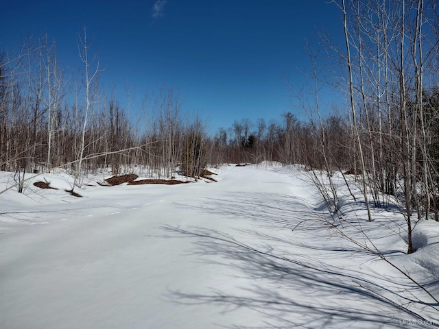 Listing photo 3 for TBD Woodspur Rd, Ontonagon MI 49953